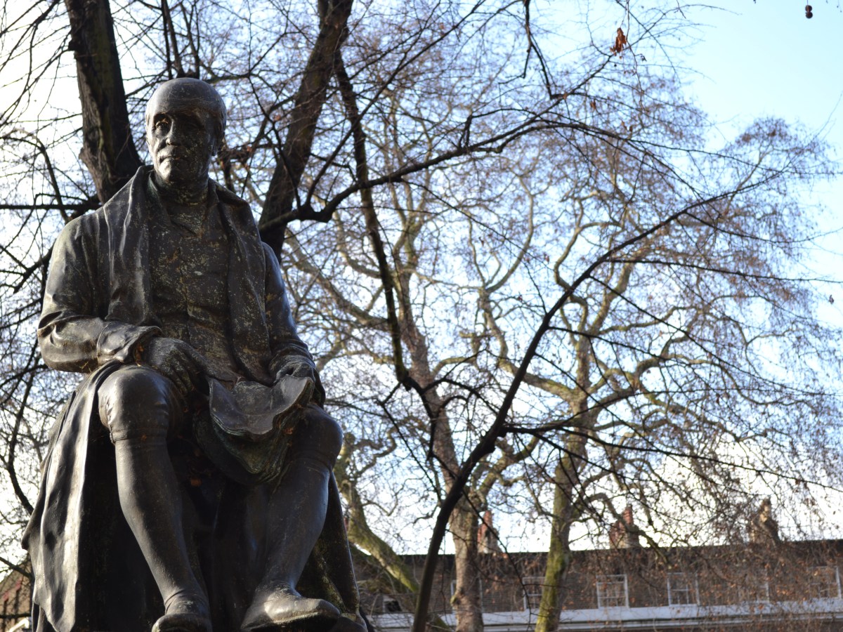 Selkirk House Judicial Review – A Commentary