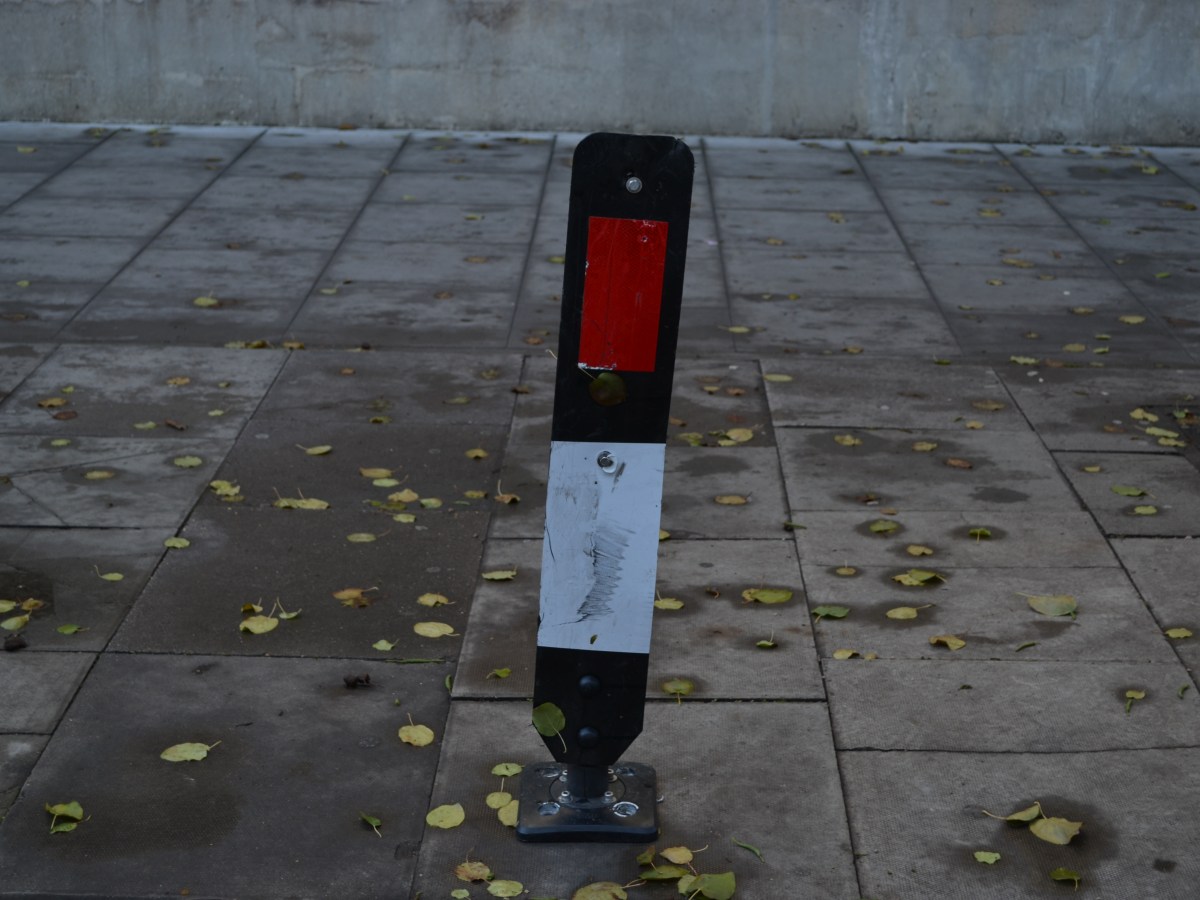 Bloomsbury Environment Awards 2020