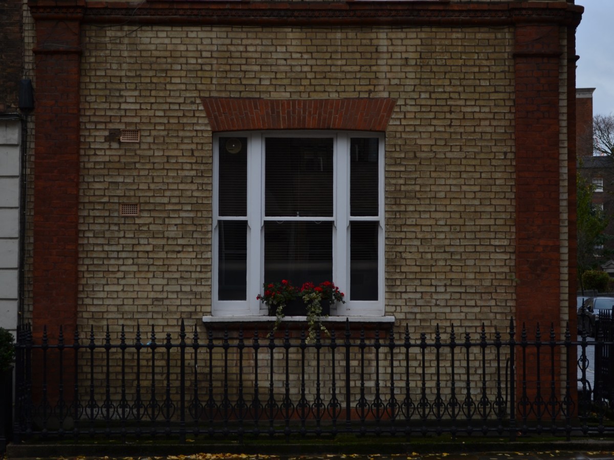 The Future of Save Bloomsbury