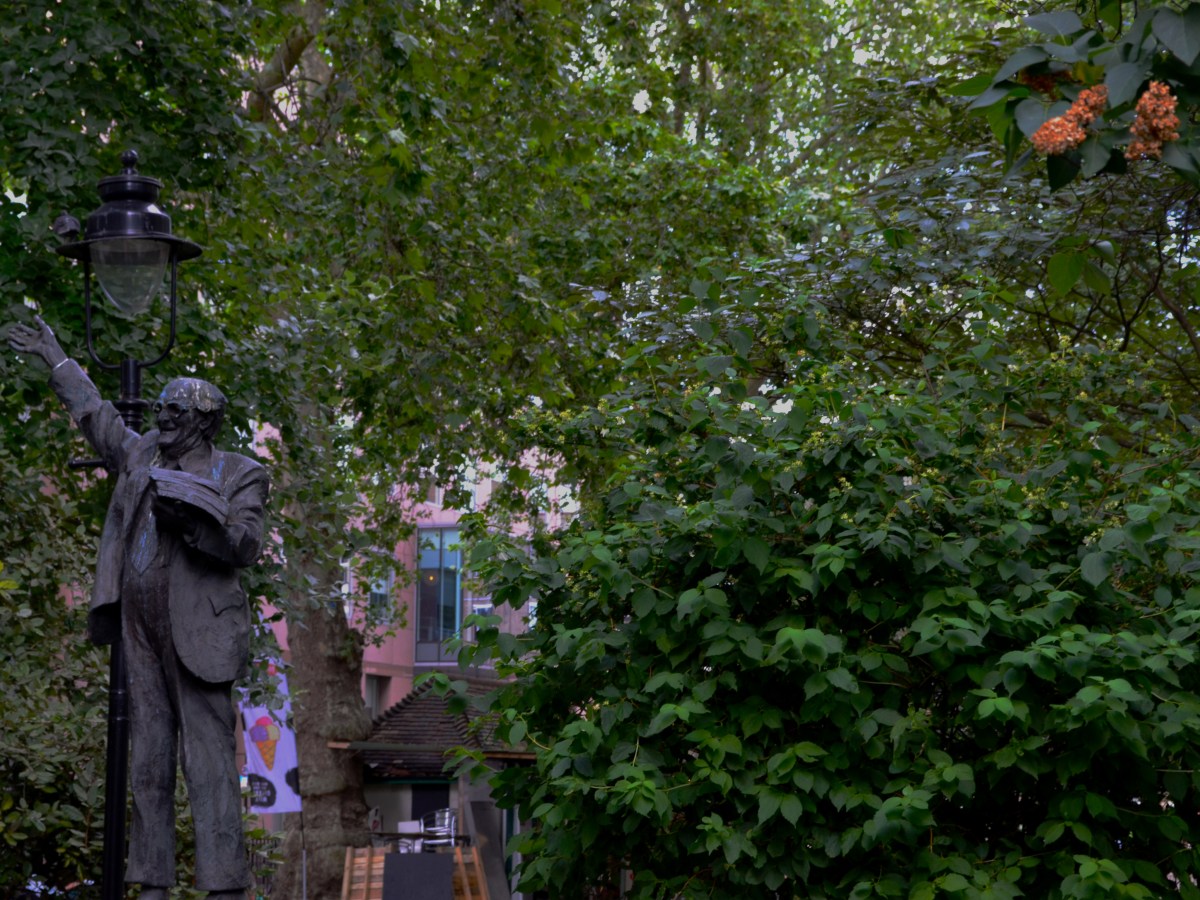 ‘The Door Wars’: Residents Prevail over Council in Battle over Pointless Door Replacements